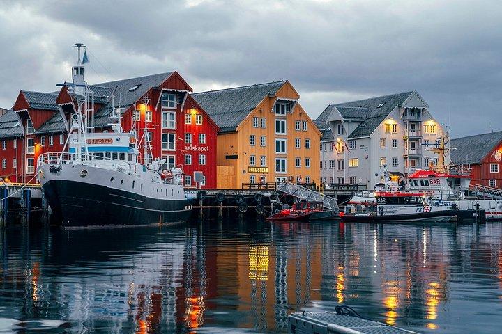 Tromso by Night Private Sightseeing Tour