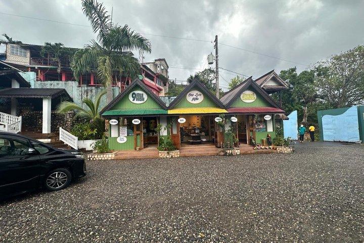Bob Marley Museum Tour From Negril Hotel