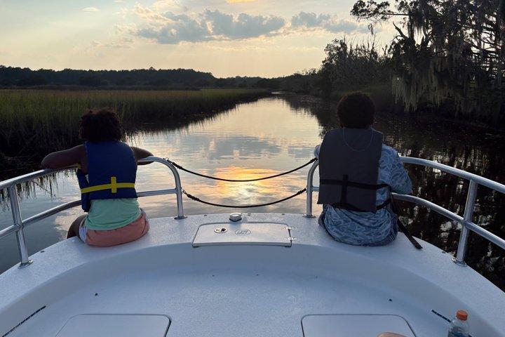 Croisière privée de bateau de faune du matin dans le marais salant de marée éloigné