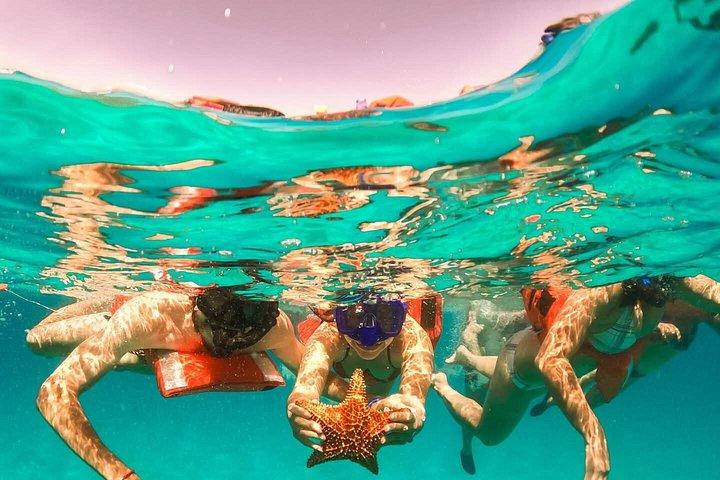 パーティボートツアー – プンタカナでのオールインクルーシブ・カタマランアドベンチャー
