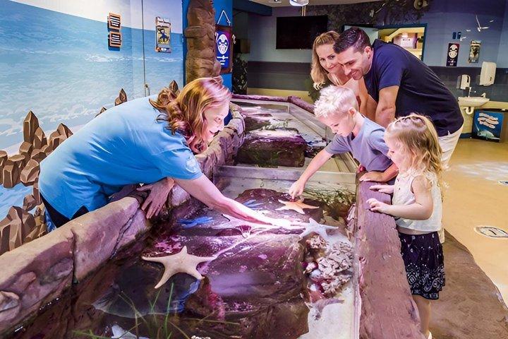SEA LIFEサンシャイン・コースト水族館入場券