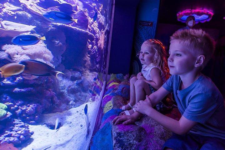 SEA LIFEサンシャイン・コースト水族館入場券