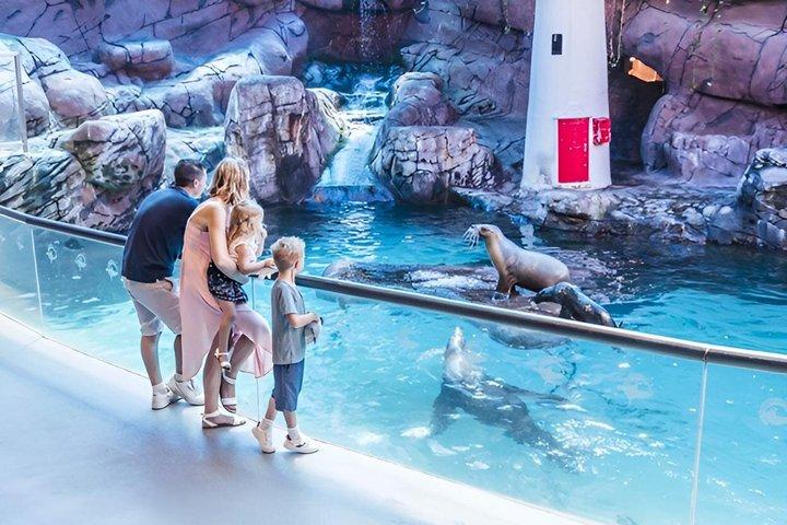 SEA LIFEサンシャイン・コースト水族館入場券