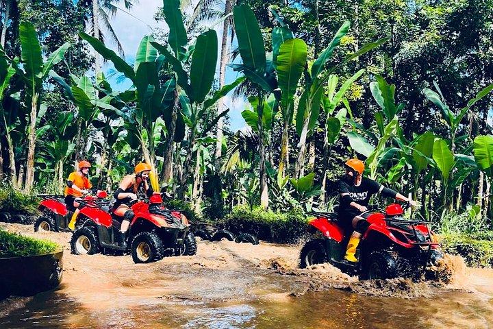 Gorilla ATVクアッドバイクとウブドジップラインコンボ