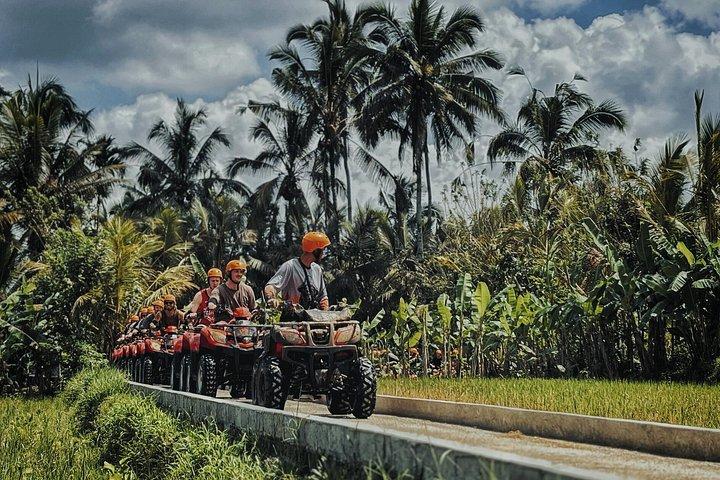 Gorilla ATVクアッドバイクとウブドジップラインコンボ