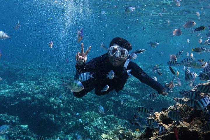 バリ島ブルーラグーンシュノーケリング（ティブマナとカントーランポ）