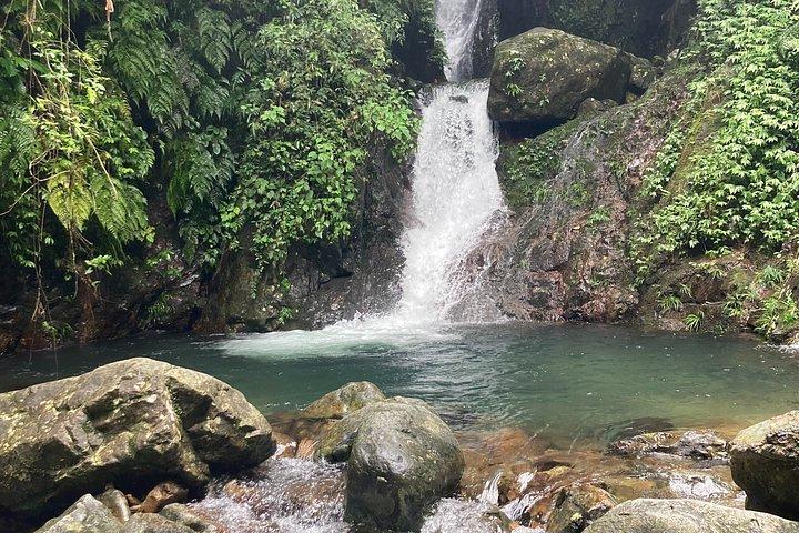 Tai Mo Shan Waterfall Adventure Hike