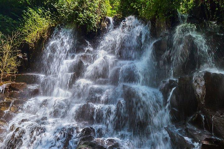 Ubud Tour Privado com 3 Cataratas, Tegalalang e Monkey River