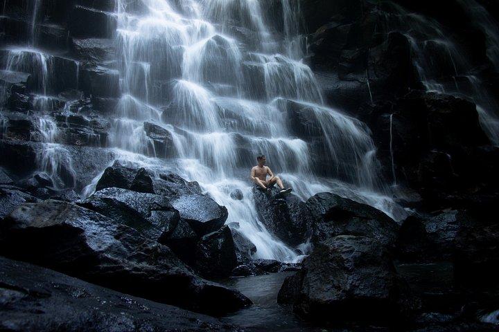Ubud Tour Privado com 3 Cataratas, Tegalalang e Monkey River