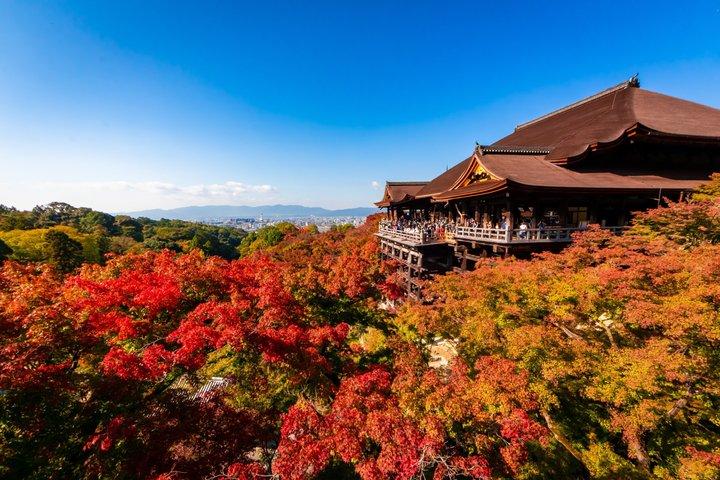 Visita guiada a pie de Kioto: lo mejor de Kiyomizu y Fushimi Inari