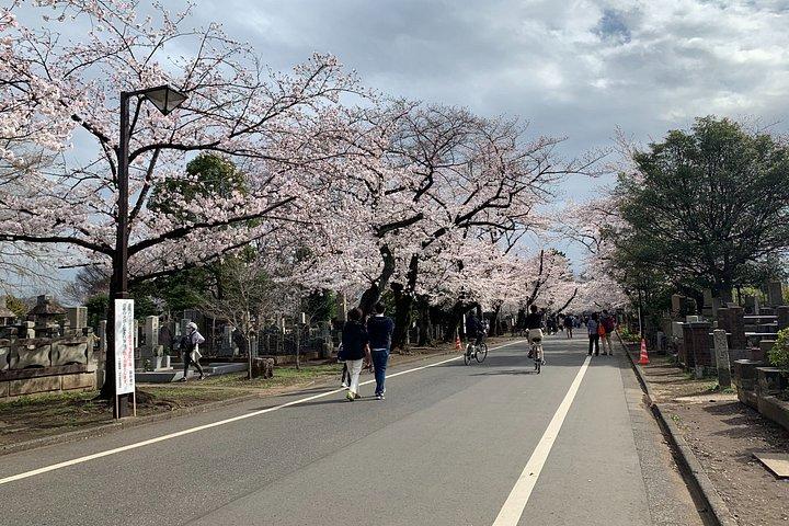 Tokyo: 2-Hour First-Timer Guide to Explore Like a Local