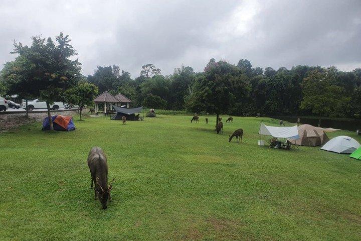 バンコク・アユタヤ寺院とカオヤイ国立公園ツアー