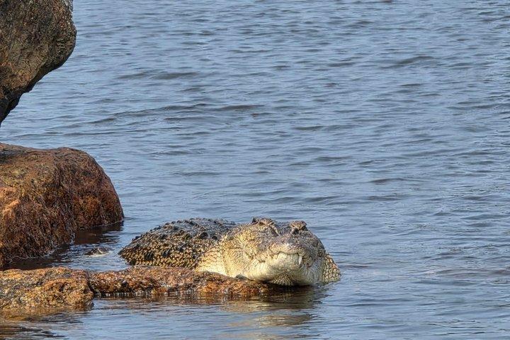 プライベートベントータリバーサファリ野生動物アドベンチャーと絶景