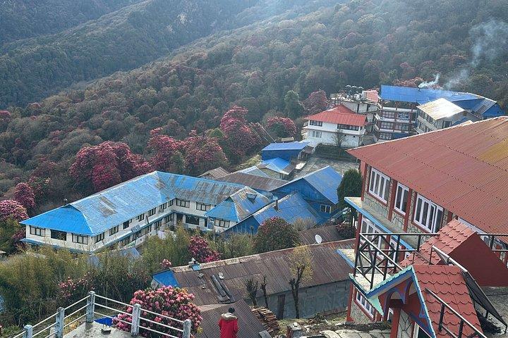 POON HILL HOT SPRING - 10 Days Trek