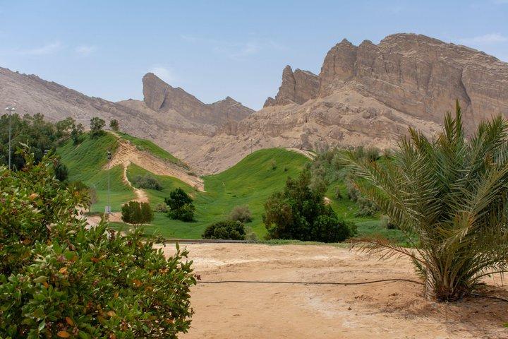 8 Hours Al Ain City Tour without lunch