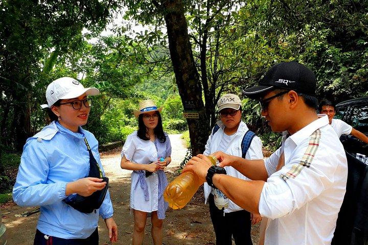 バッハマ国立公園ネイチャーツアー-ダナン発プライベート
