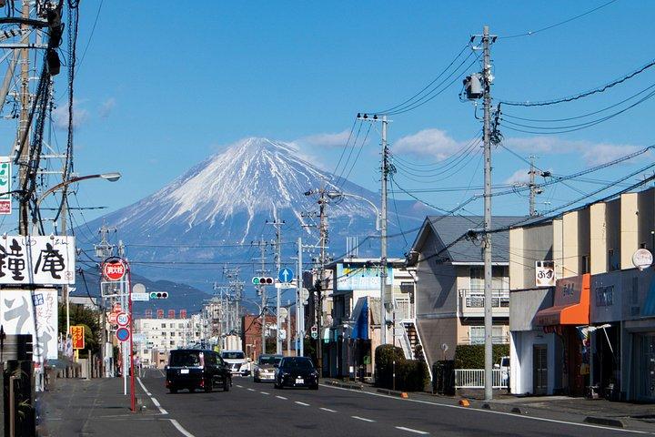 Mt. Fuji Scenic Train Adventure Small Group Guided Tour