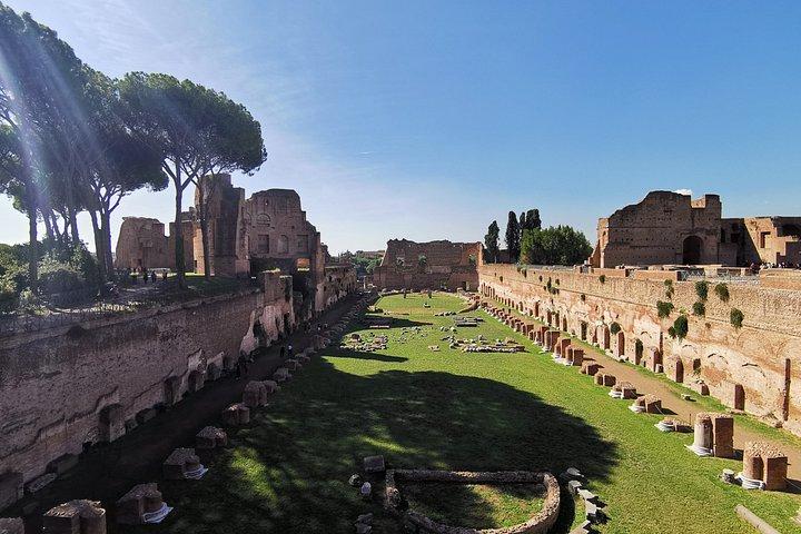 Visite guidée privée de Colosseum Gladiator Arena et Forum romain