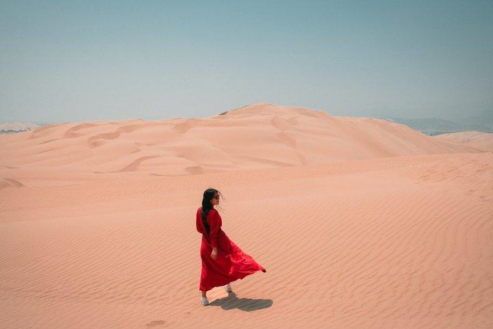 Paracas and Huacachina Day Tour Ballestas Islands Adventure