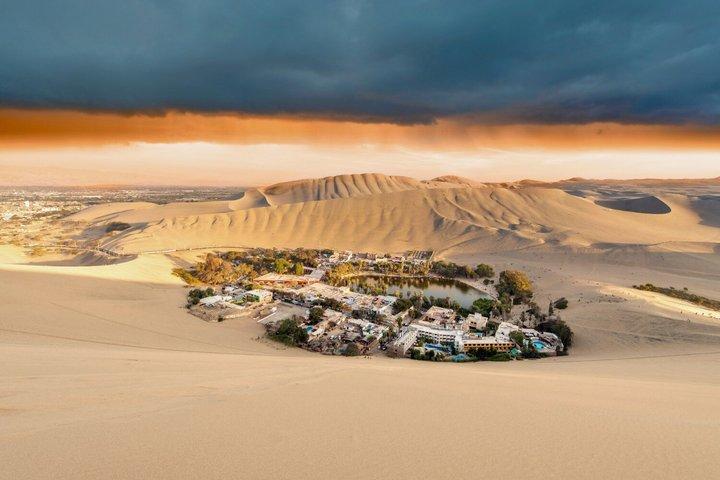 Paracas and Huacachina Day Tour Ballestas Islands Adventure