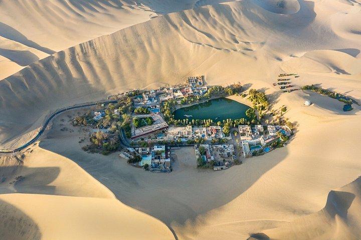パラカスとワカチナ日帰りツアーバレスタス諸島アドベンチャー