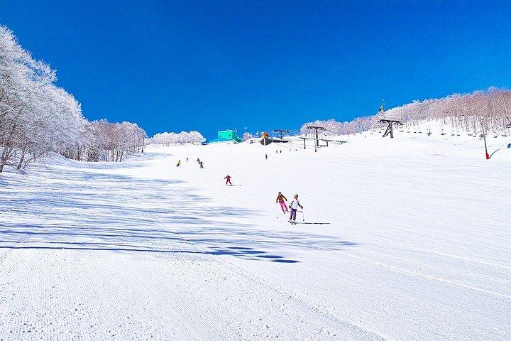 東京発 銀山温泉と蔵王雪怪獣めぐり2日間