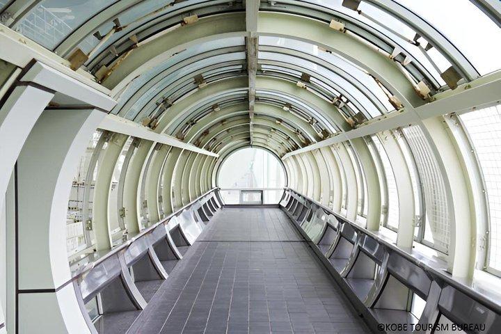 Himeji Castle und Akashi Kaikyo Bridge Walking Tour von Himeji