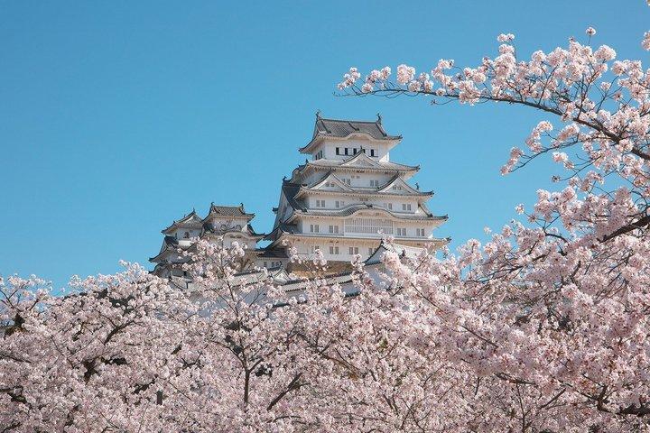 Himeji Castle und Akashi Kaikyo Bridge Walking Tour von Himeji