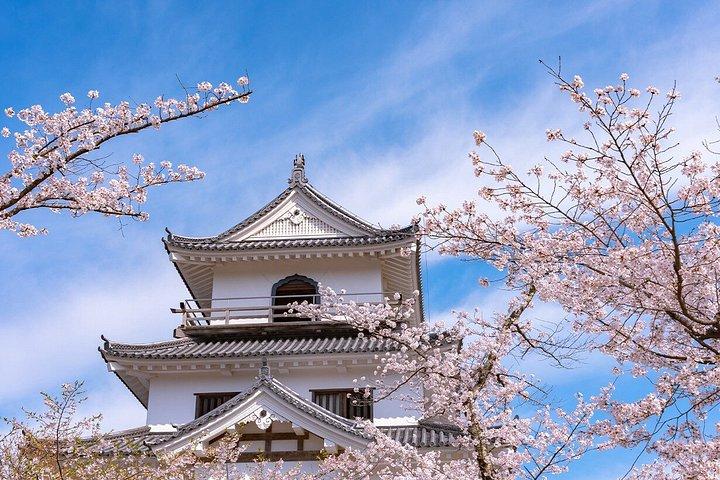 東京発 銀山温泉と蔵王雪怪獣めぐり2日間