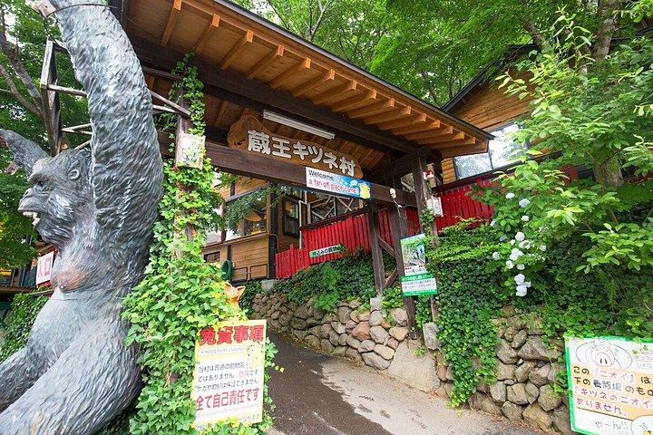 東京発 銀山温泉と蔵王雪怪獣めぐり2日間