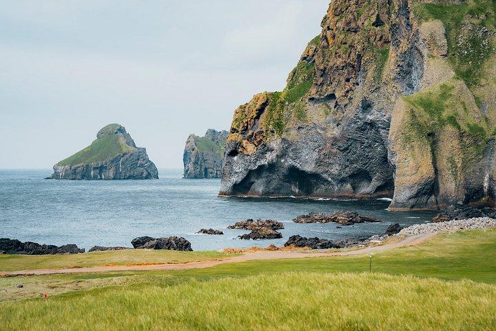 ヴェストマン諸島、パフィン、火山を巡る小グループ日帰りツアー