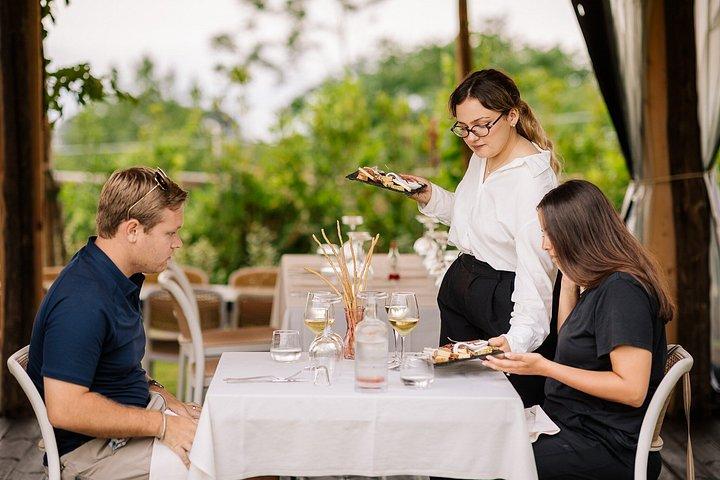 ソレント発ポンペイ、ランチ、ワインのガイドツアー