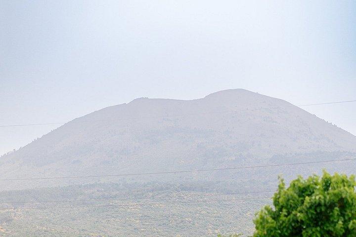 ソレント発ポンペイ、ランチ、ワインのガイドツアー