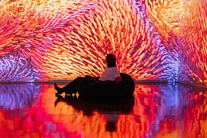 メルトミュージアム入場券