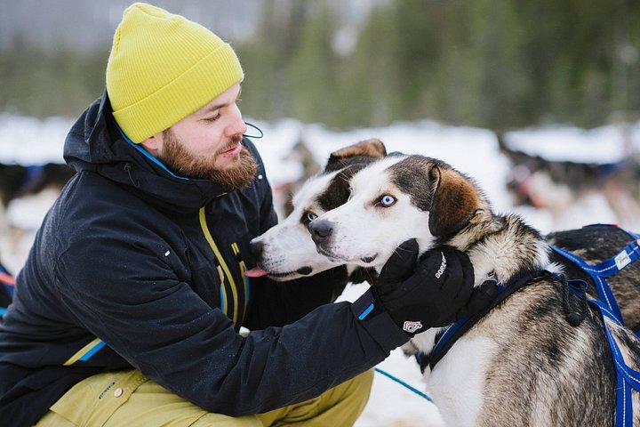 Experiência 5 - km Husky Safari de Levi