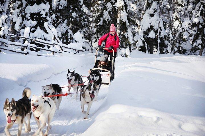 Experiência 5 - km Husky Safari de Levi