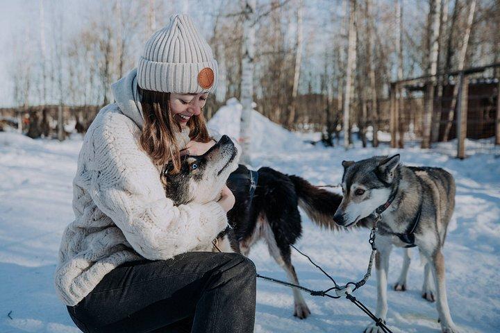 Experiência 5 - km Husky Safari de Levi