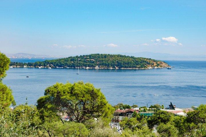 Istanbul Princes' Islands Swimming Group Yacht Cruise