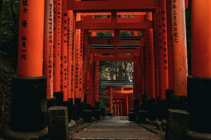 Excursão a pé privada Explore o Santuário Fushimi Inari em Quioto
