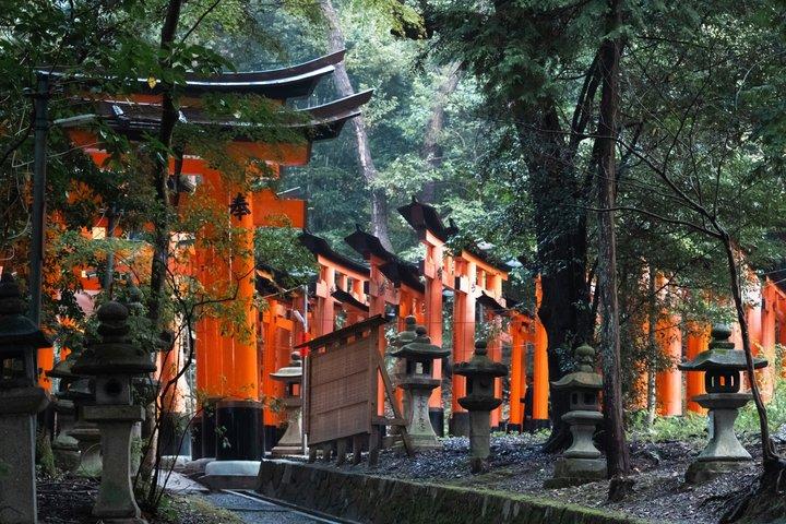 Excursão a pé privada Explore o Santuário Fushimi Inari em Quioto