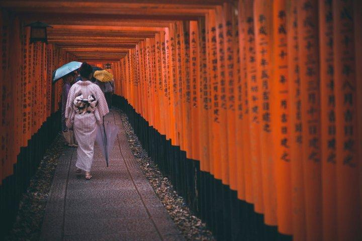 Excursão a pé privada Explore o Santuário Fushimi Inari em Quioto