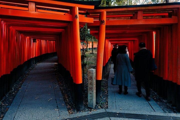 Excursão a pé privada Explore o Santuário Fushimi Inari em Quioto