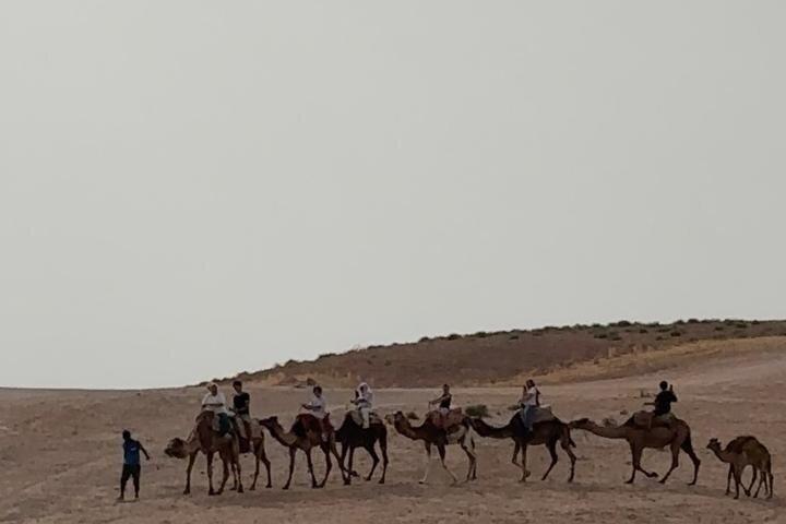 Agafay Quads Camels festlig middag i Marrakech