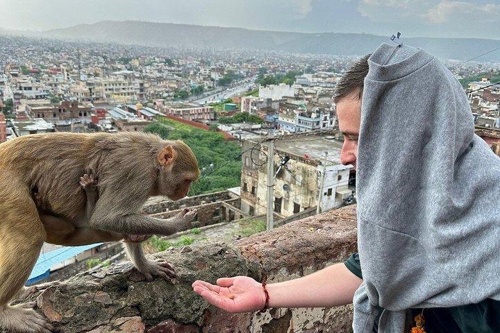 Full-Day Jaipur Tour with Private Car & Local Guide