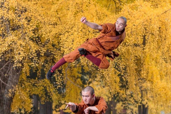 Excursión privada de un día a las grutas de Longmen y el templo Shaolin