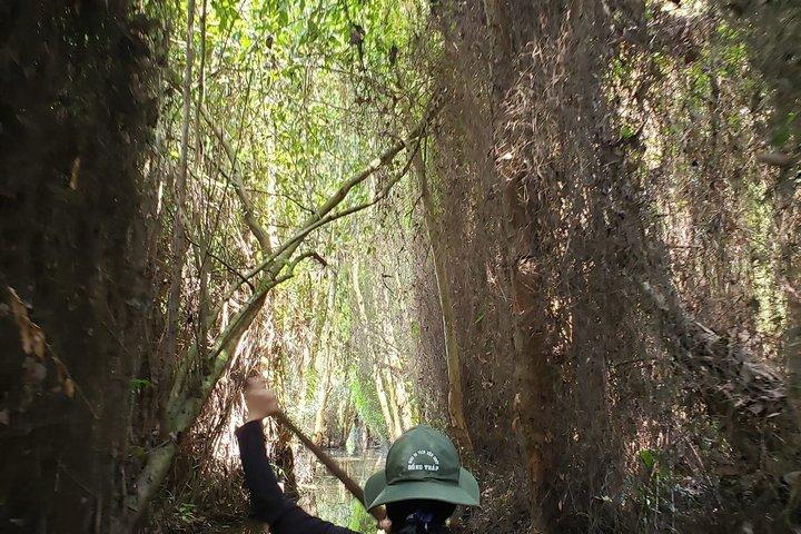 Can Tho: Private Xeo Quyt Forest & Street Food Experience.