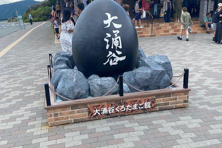 東京から富士山と箱根を巡るプライベート日帰りツアー（10時間）
