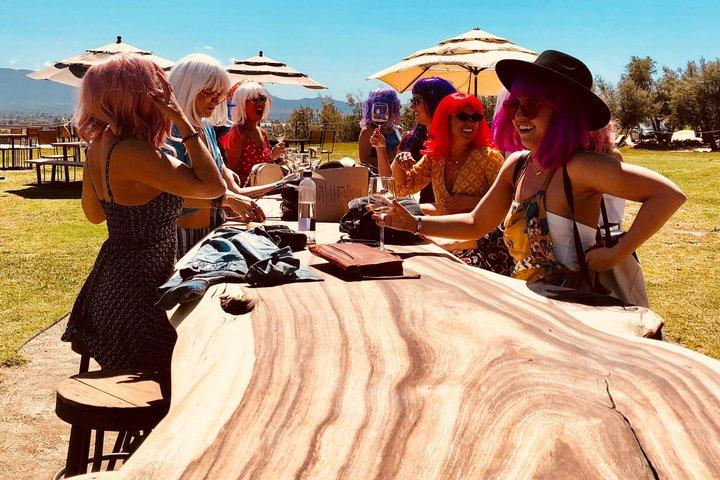 バハカリフォルニアのグアダルーペバレーワインルートツアー