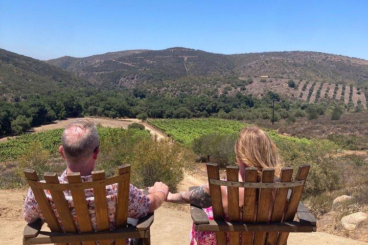 バハカリフォルニアのグアダルーペバレーワインルートツアー