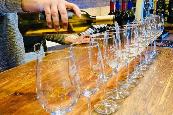 バハカリフォルニアのグアダルーペバレーワインルートツアー
